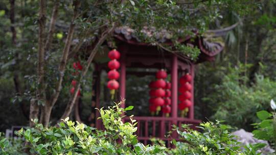 杭州三天竺三生石风景