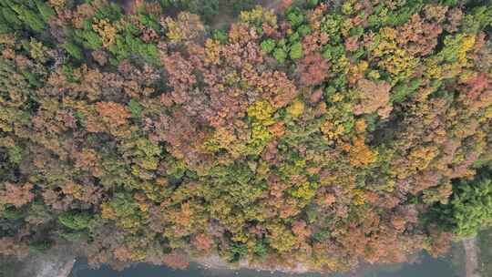 四川德阳罗江区附近山林秋色