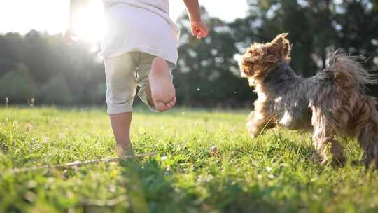 小孩和狗在草地上跑步慢动作
