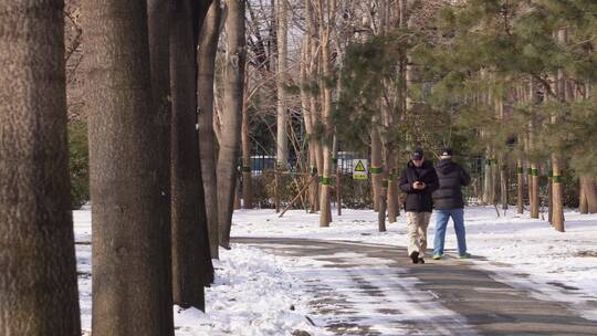 冰天雪地冬季寒冷积雪冰冻行人视频素材模板下载