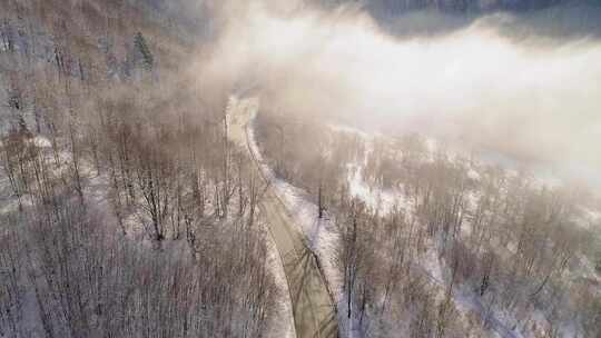 雪域森林中冬季乡村道路的鸟瞰图，被阳光照亮，覆盖着金色的雾