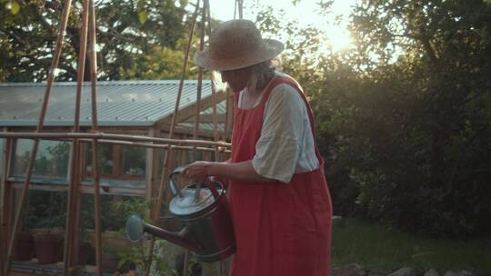 女人再给植物浇水