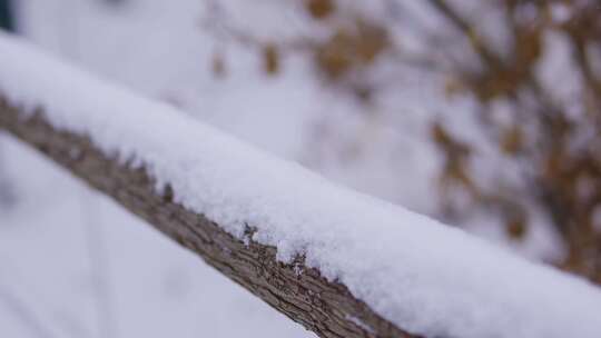 积雪覆盖的树枝特写/唯美栏杆积雪