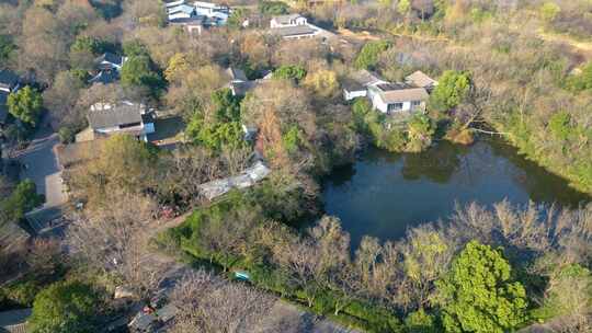 杭州市西湖区西溪湿地美景风景视频素材