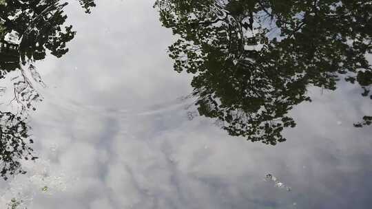 下雨唯美清新空镜雨景视频素材模板下载