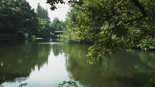 户外杭州西湖风景