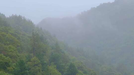 初秋雨中山脉云雾缭绕的绝美自然风光