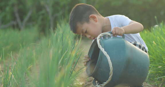 夏日小朋友农田玩耍浇水