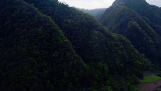 神秘的原始神农架林区