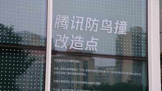 腾讯滨海大厦“防鸟撞改造点”波点贴纸