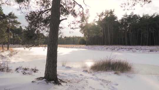 白雪覆盖的湖