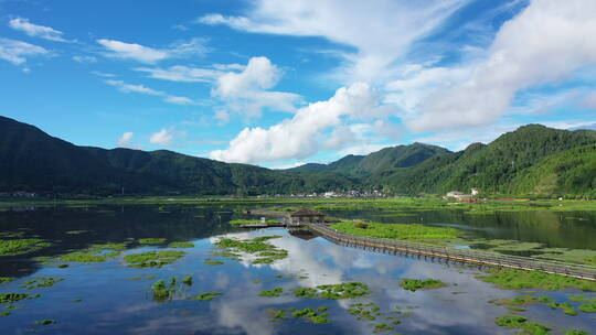 夏天绿色清新的腾冲北海湿地