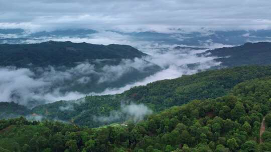 自然森林穿过云雾绿水青山航拍视频