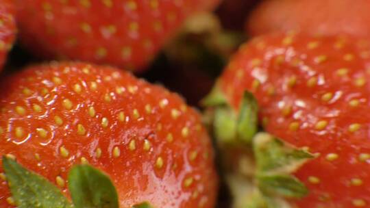 沿着美味的新鲜成熟草莓浆果特写镜头