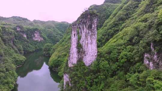 贵州山河镇远㵲阳河孔雀开屏4k素材