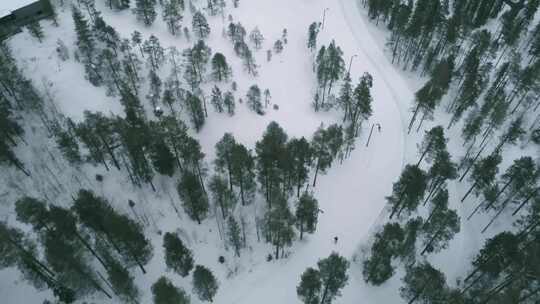 情侣森林滑雪航拍雪景树林
