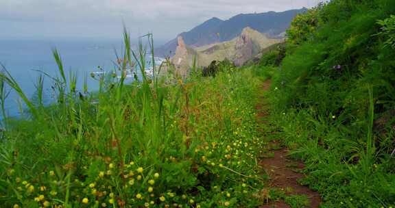 特内里费岛，加那利群岛，西班牙，山脉