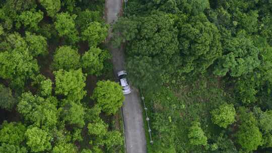 森林中道路上行驶的汽车俯拍