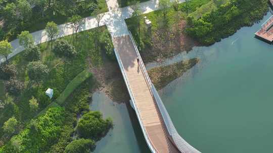 前海桂湾公园人行天桥俯瞰航拍