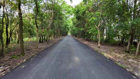 开车行驶在乡间的道路上