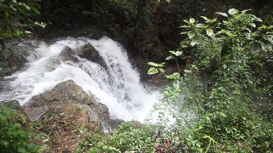 山林美景溪水