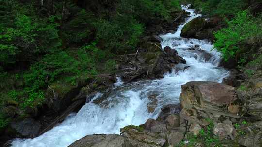 森林溪流流水