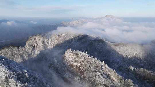 冬天雪景树林雾凇