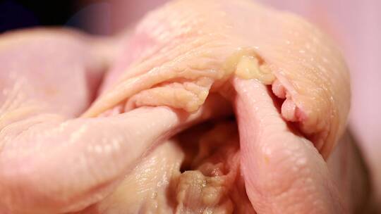 解剖肉鸡身上不能吃的位置