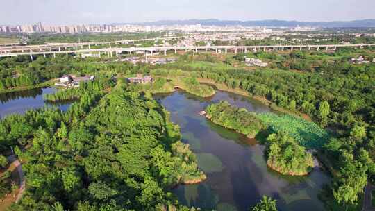 成都白鹭湾湿地公园和城市绿道白昼航拍实时