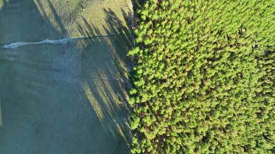 航拍新疆东天山原始森林高山草原风光