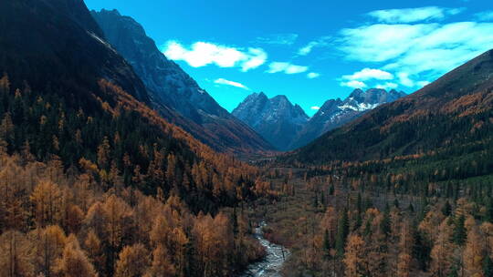 秋天的四姑娘山双桥沟航拍风景