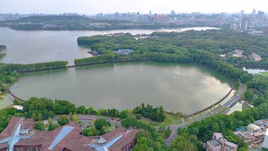 湖北武汉东湖听涛景区航拍自然风光生态旅游