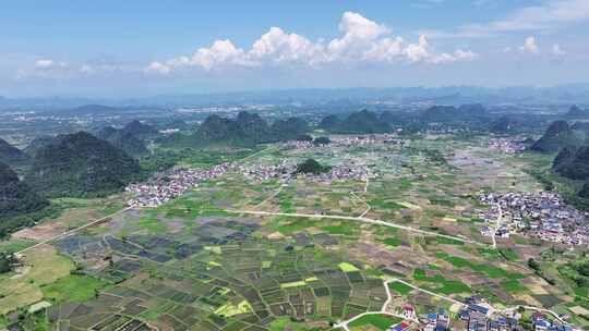 田园风光水稻产业化种植