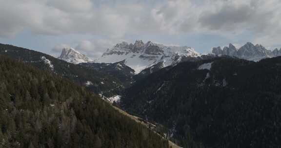 意大利多洛米蒂群岛瓦尔迪富内斯雪山和松树