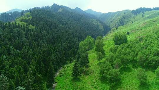 大山与森林高清航拍素材-02（1080P）