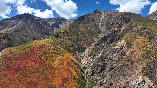 无人机航拍西藏林芝地区高山上的一抹秋景