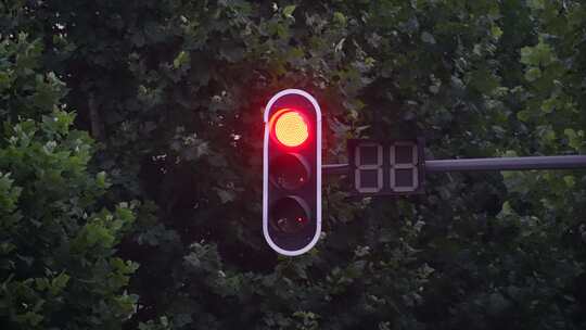 交通指示灯