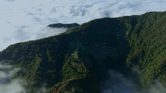 台湾 苗栗 空拍 露营 自然