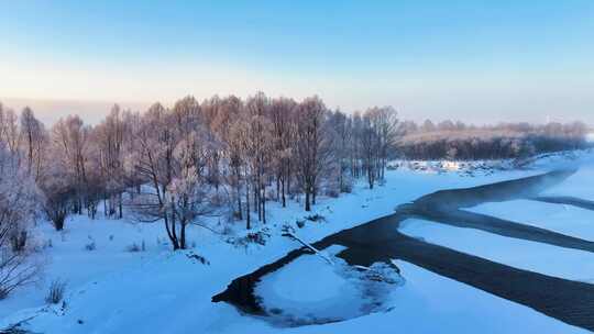 雪柳不冻河雾凇241129