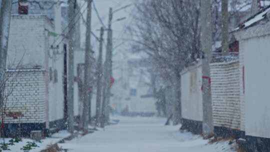 农村下雪道路