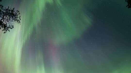 夜空极光视频素材模板下载