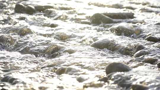 水 小溪 流动 河流 蜿蜒 清澈