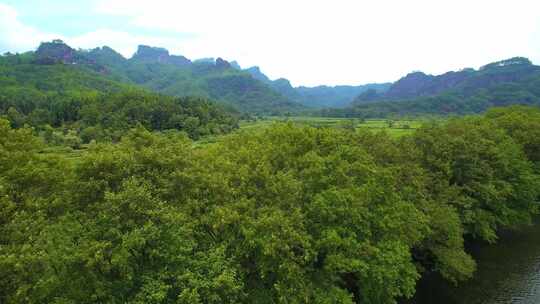 航拍武夷山九曲溪竹筏漂流岩茶茶园丹霞地貌