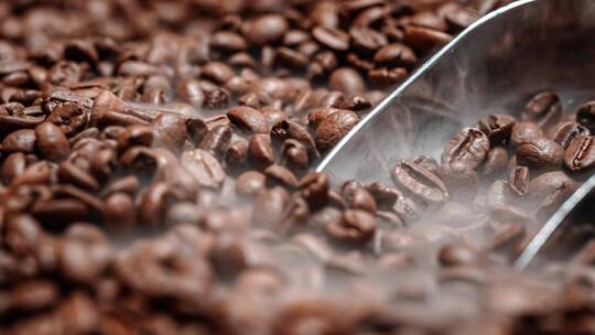 香喷喷的咖啡豆谷类植物烤咖啡豆自然条件
