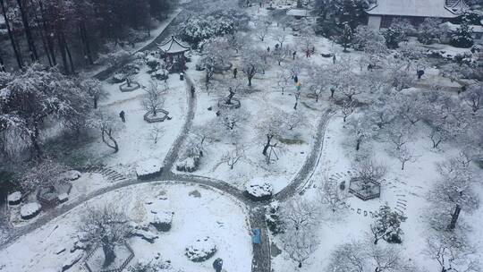 【航拍】东湖梅园雪景01