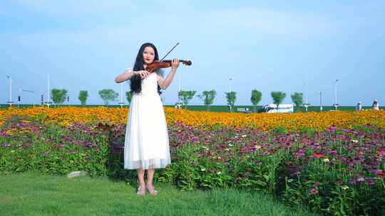 美女拉小提琴 小提琴