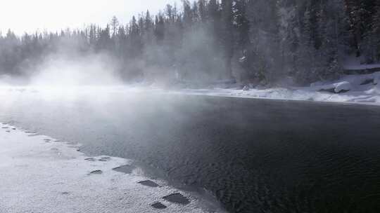 航拍新疆冬季喀纳斯神仙湾晨雾及雪松