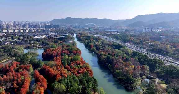 中国杭州西溪湿地秋日美景航拍