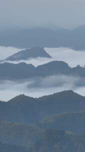 竖屏航拍10月四川黎坪森林公园清晨云海