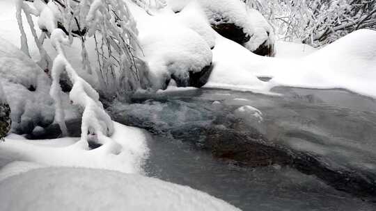 冰雪中的溪流